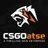 csgoatse|csgo atse twitter.
